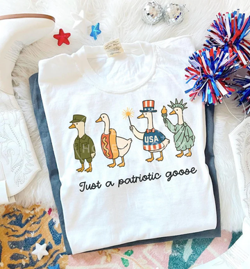 Silly Goose 4th of July Tee – Patriotic USA Shirt Comfort Colors®